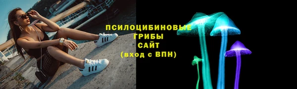 ECSTASY Туринск