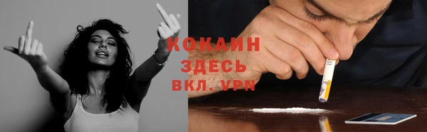 ECSTASY Туринск